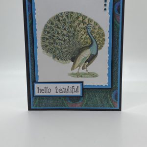 Hello Beautiful Peacock Card