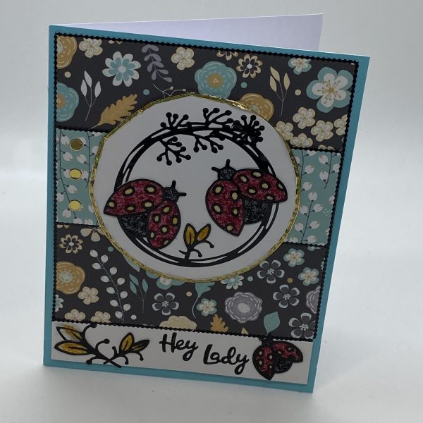 Hey Lady Ladybug Glitter Card