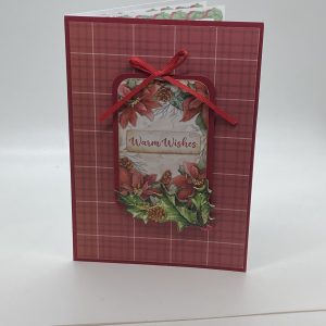 Poinsettias And Holly On Red Plaid Card