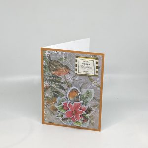 Winter Birds With Poinsettia And Pinecones Card