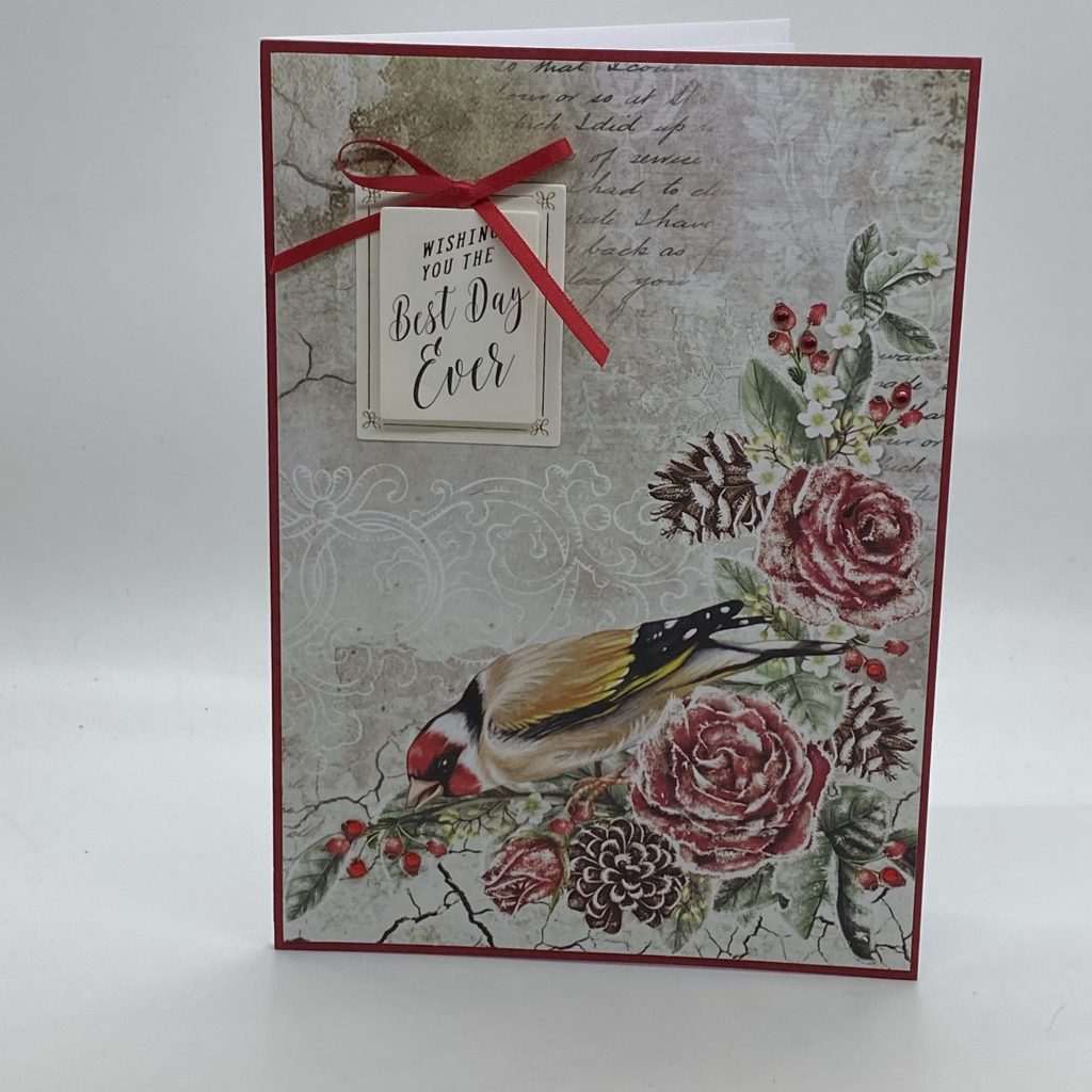 Colorful Bird Winter Roses Thank You Card