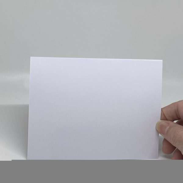 Blank Greeting Card