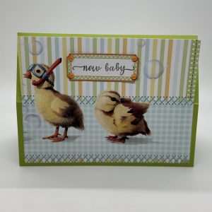 Baby ducks With Swimming Gear New Baby Card