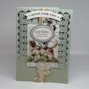 IMG_3502 Get Well Just For You For Him Card